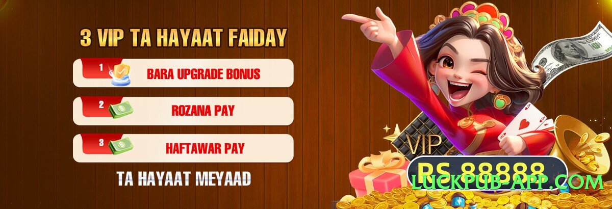 Mega TopPlayer Modern Screenshot 3