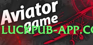 winpkr Silver v1.0.0 Screenshot 3